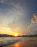 Ultimate Sri Lanka Surf Adventure: 6-Day Coastal Explorer