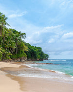 Ultimate Sri Lanka Surf Adventure: 6-Day Coastal Explorer