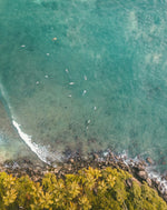 Ultimate Sri Lanka Surf Adventure: 6-Day Coastal Explorer