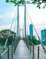 Wildlife Adventures in Sri Lanka – 7-Day Escape into the Wild