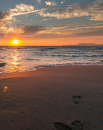 Ultimate Sri Lanka Surf Adventure: 6-Day Coastal Explorer