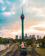 Wildlife Adventures in Sri Lanka – 7-Day Escape into the Wild