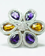 Wildlife Adventures in Sri Lanka – 7-Day Escape into the Wild