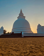 Ultimate Sri Lanka Surf Adventure: 6-Day Coastal Explorer