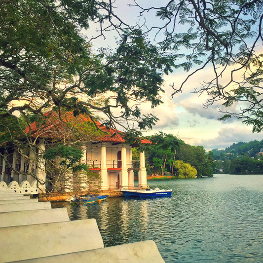 Upcountry Paradise: 6-Day Luxury Tour of Sri Lanka's Highlands