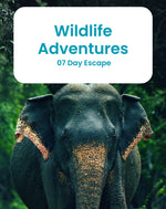 Wildlife Adventures in Sri Lanka – 7-Day Escape into the Wild