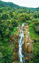 Upcountry Paradise: 6-Day Luxury Tour of Sri Lanka's Highlands