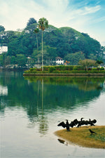 Wildlife Adventures in Sri Lanka – 7-Day Escape into the Wild