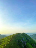 Wildlife Adventures in Sri Lanka – 7-Day Escape into the Wild