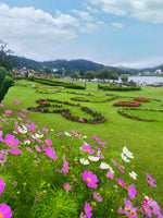 June Journey Holiday in Sri Lanka's Upcountry – 5-Day Spiritual & Scenic Retreat